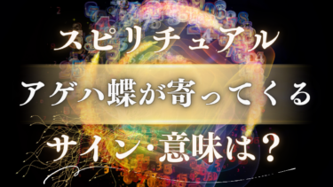 「アゲハ蝶が寄ってくる」スピリチュアルな意味は？幸運のサイン？状況別の重要なメッセージを解読