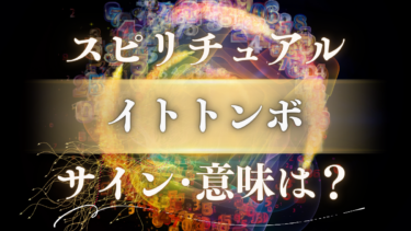 「イトトンボ」のスピリチュアルな意味は？繊細な魂が受け取る幸運のサイン【人生好転の前兆】