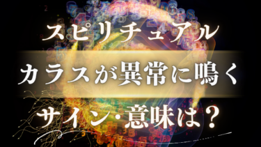 「カラスが異常に鳴く」スピリチュアルな意味は？神の使いが伝える【人生好転のサイン】を見逃さないで