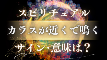 「カラスが近くで鳴く」スピリチュアルな意味とは？神の使いが告げる幸運と警告のサイン