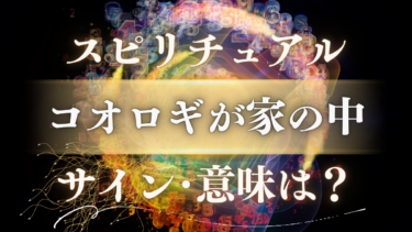 「コオロギが家の中」スピリチュアルな意味は？幸運を告げる奇跡のサイン！場所・特徴別のメッセージを解読