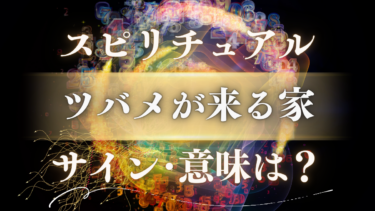 「ツバメが来る家」のスピリチュアルな意味は？幸運を呼ぶサインと見過ごしてはいけない警告メッセージ