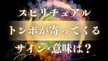 「トンボが寄ってくる」スピリチュアルな意味は？人生の転機を告げるご先祖様からのサイン、幸運のメッセージを解読