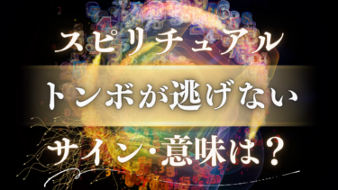 「トンボが逃げない」スピリチュアルな意味は？目標達成が近いサイン【ご先祖様からの最重要メッセージ】