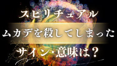 「ムカデを殺してしまった」スピリチュアルな意味は？金運上昇と人生好転の重要なサイン