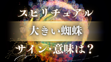 「大きい蜘蛛」のスピリチュアルな意味は？【幸運の大前兆】警告サインの見分け方と人生を変えるメッセージ