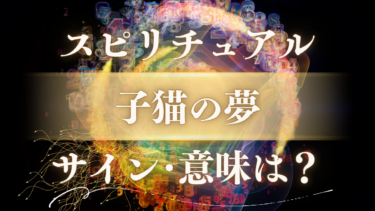 「子猫の夢」スピリチュアルな意味は？幸運を告げるサインと重要なメッセージを徹底解説