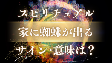 「家に蜘蛛が出る」スピリチュアルな意味は？幸運の前兆か警告のサインか、場所・色で変わる11のメッセージ