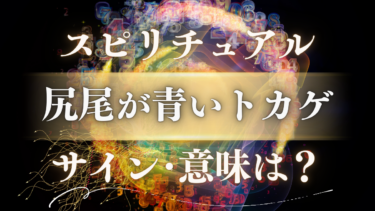 「尻尾が青いトカゲ」のスピリチュアルな意味は？幸運のサインと人生が変わる前兆のメッセージ