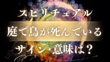 「庭で鳥が死んでいる」スピリチュアルな意味は？不吉なサインではなく“再生”へのメッセージ