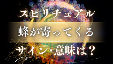 「蜂が寄ってくる」スピリチュアルな意味は？幸運のサインか警告か…種類・状況別のメッセージを解読