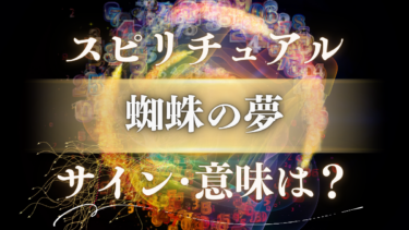 「蜘蛛の夢」のスピリチュアルな意味は？幸運のサインか警告か【状況・色・行動別のメッセージを解読】