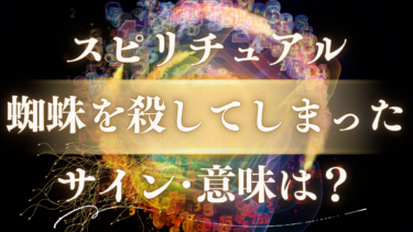 「蜘蛛を殺してしまった」スピリチュアルな意味は？罪悪感が“幸運のサイン”に変わる人生好転のメッセージ