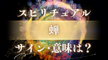 「蝉」のスピリチュアルな意味は？幸運のサインか警告か、状況・状態別のメッセージを完全解読