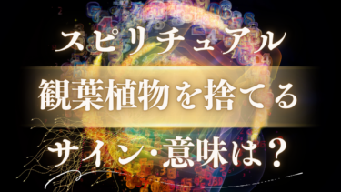 「観葉植物を捨てる」スピリチュアルな意味は？人生が変わる前兆…運気好転のサインと感謝の別れ方