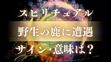 「野生の鹿に遭遇」スピリチュアルな意味は？神の使いが伝える幸運のサインと人生の転機を告げるメッセージ