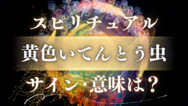 「黄色いてんとう虫」のスピリチュアルな意味は？幸運のサインと人生が変わる前兆のメッセージ