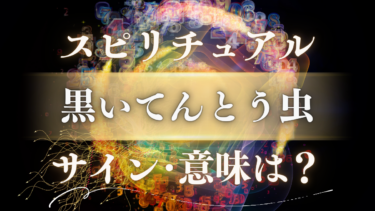 「黒いてんとう虫」のスピリチュアルな意味は？不吉は嘘！人生が変わる幸運のサインと強力なメッセージ