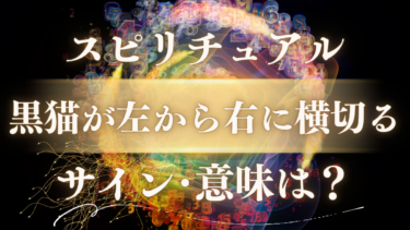 「黒猫が左から右に横切る」スピリチュアルな意味は？人生が劇的に好転する幸運のサイン