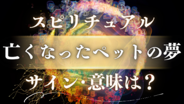 「亡くなったペットの夢」のスピリチュアルな意味は？【状況別】に隠されたサインと天国からのメッセージ